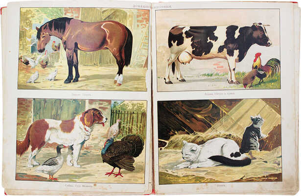 Мир в картинках. М.: Изд. В.М. Саблина, 1912.